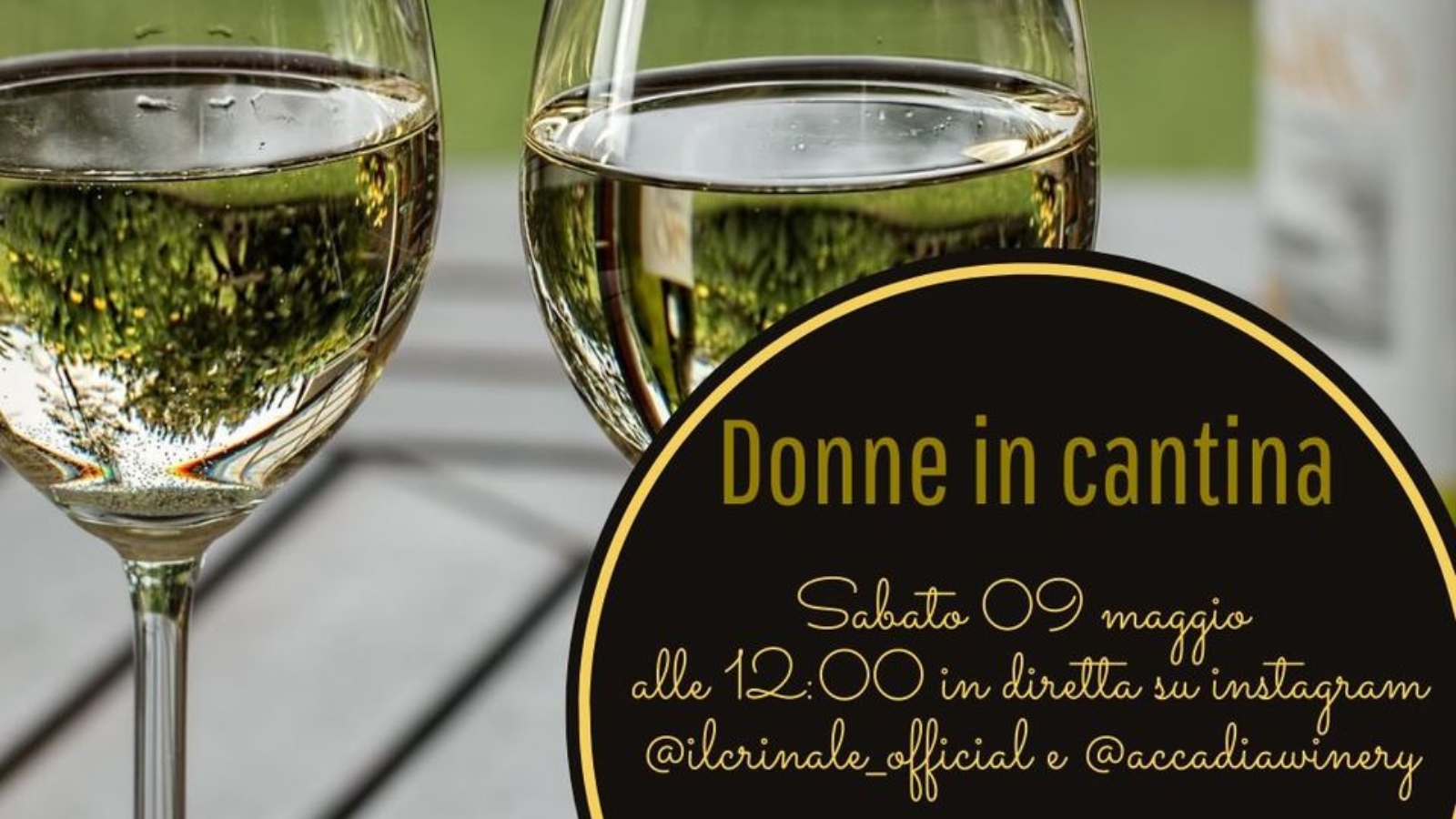 Donne in cantina